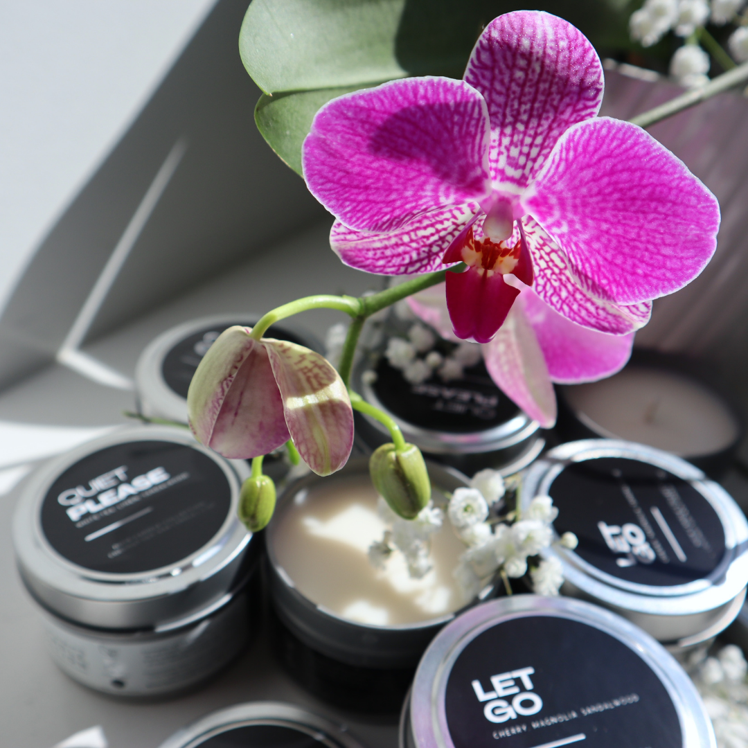 Discovery Gift Box: The Unbothered Collection (NEW)